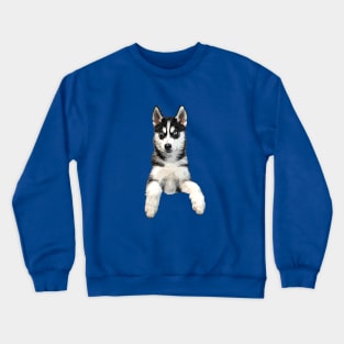 Siberian Husky Puppy Dog Crewneck Sweatshirt